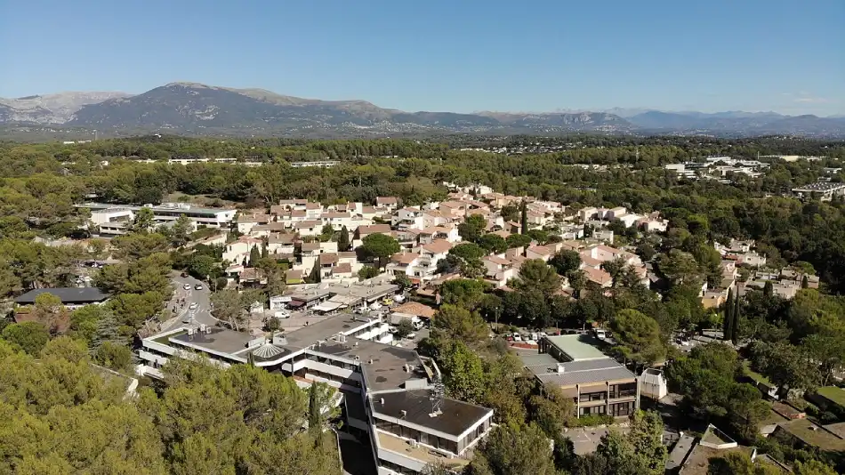 meilleur Consultant SEO Sophia Antipolis